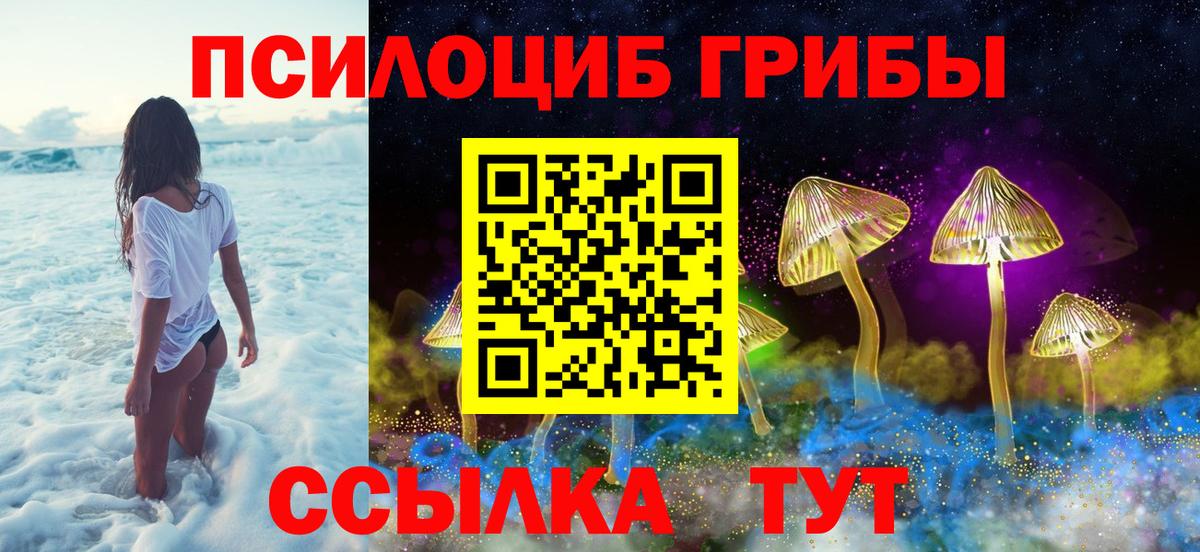 Стрежевой  Псилоцибиновые грибы Cubensis  Вход с VPN 