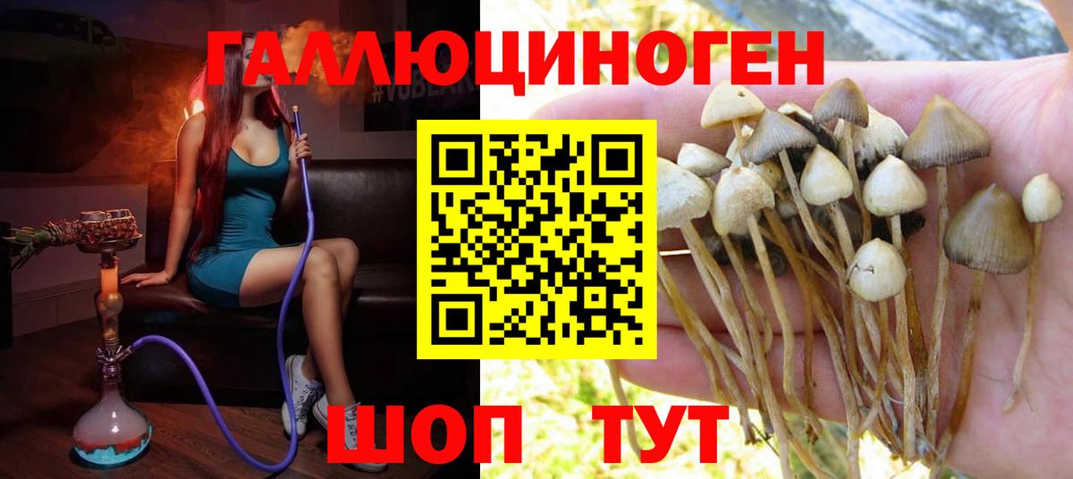 Галлюциногенные грибы MAGIC MUSHROOMS Стрежевой